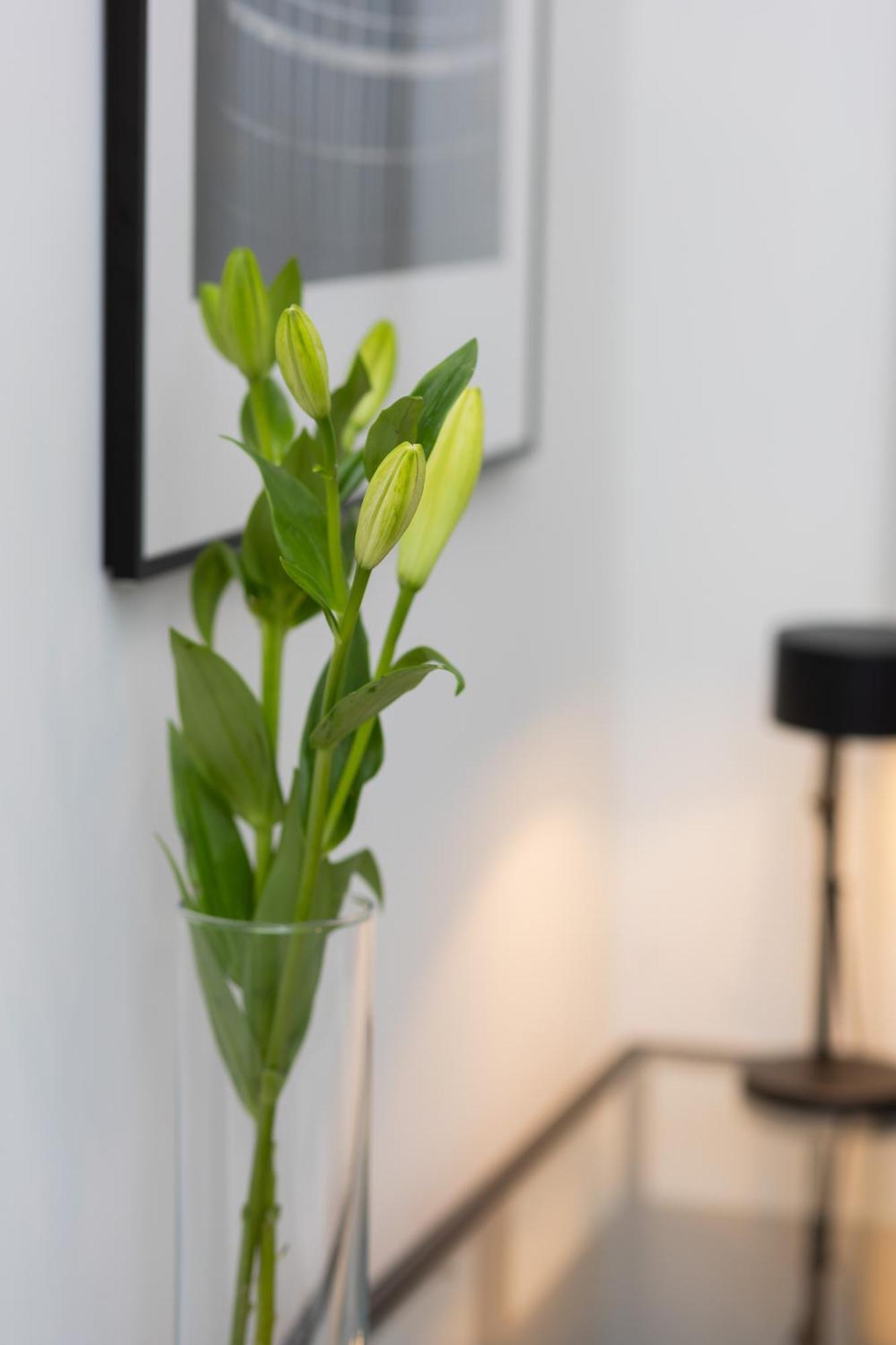 Cosy Dream City Center Apartment By Noclegi Renters Warschau Buitenkant foto